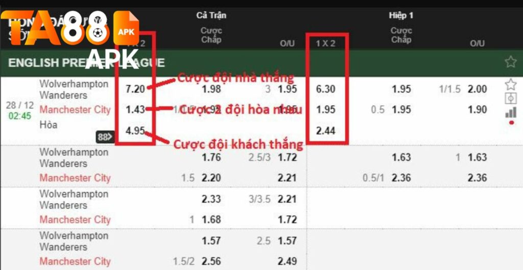 cách đọc kèo bóng đá nhà cái ta88