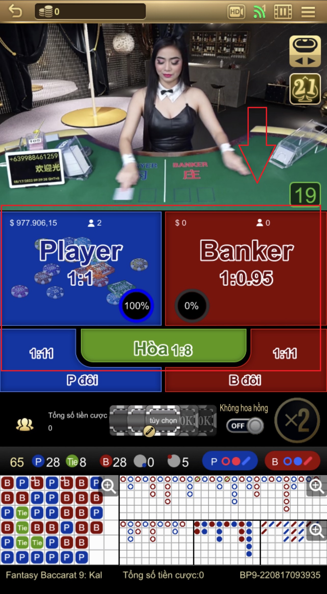 live casino