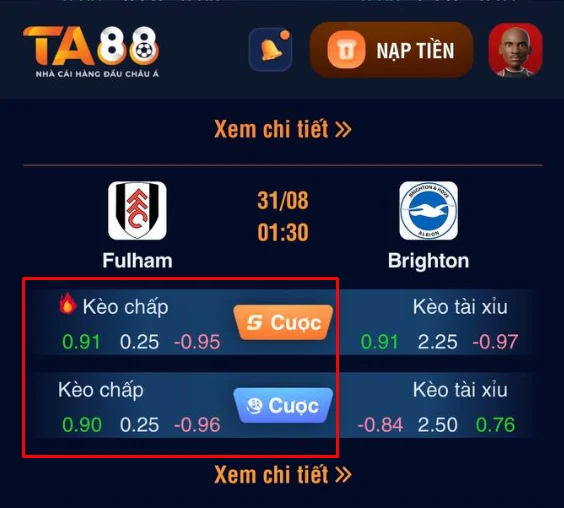 kèo chấp 1/4