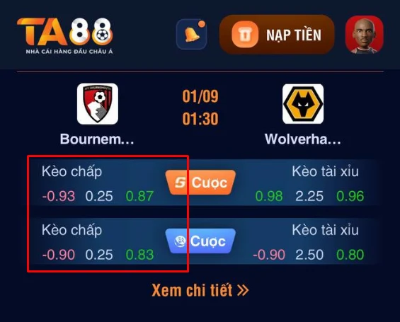 kèo chấp 1/4