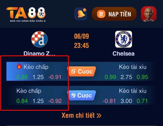 kèo chấp 1/4
