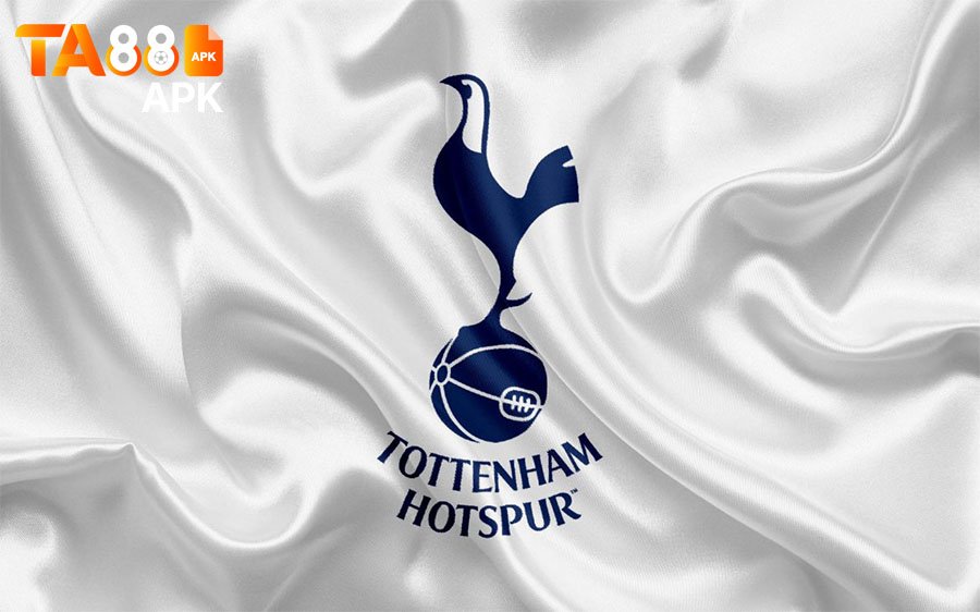 soi kèo tottenham nhà cái ta88