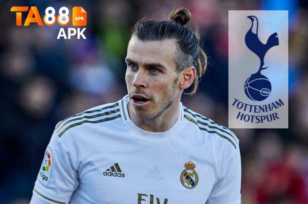 soi kèo tottenham